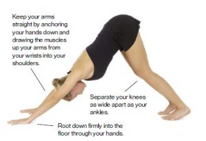 downward-facing-dog-standing-postures-in-hatha-yoga-f2