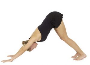 downward-facing-dog-standing-postures-in-hatha-yoga-f4