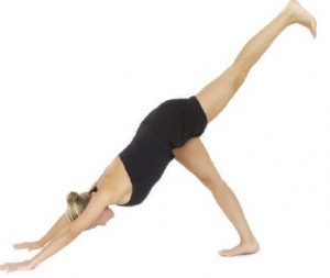 downward-facing-dog-standing-postures-in-hatha-yoga-f5