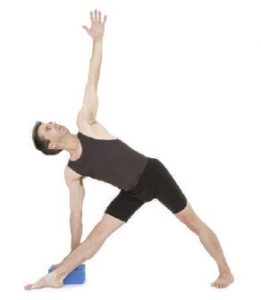 triangle-standing-poses-in-hatha-yoga-6