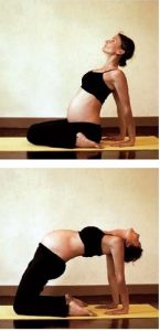 week-7-the-first-trimester-pregnancy-yoga