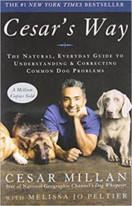 Positive Psychology Books Cesar's Way
