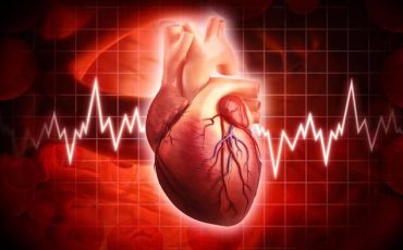understanding-heart-rate-assessments-cardio-fitness-education